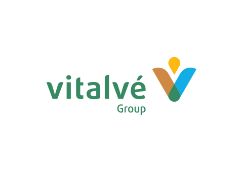 Vitalvegroup Logo Kleur